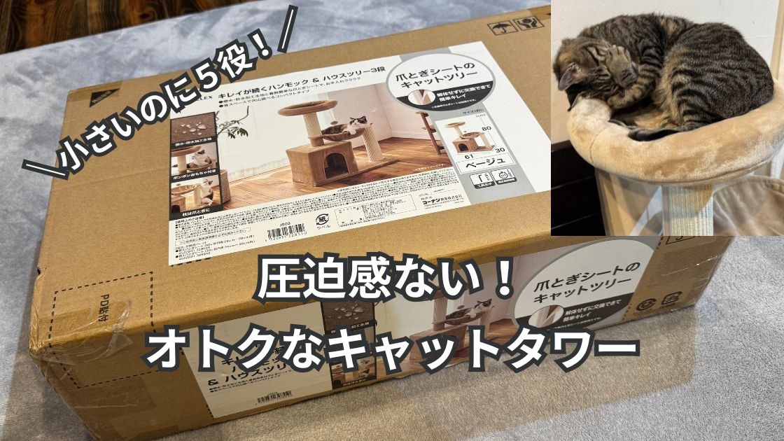 子供がお年玉で買った猫グッズ①キャットタワー！ | あやたそCoffee＆猫とLife